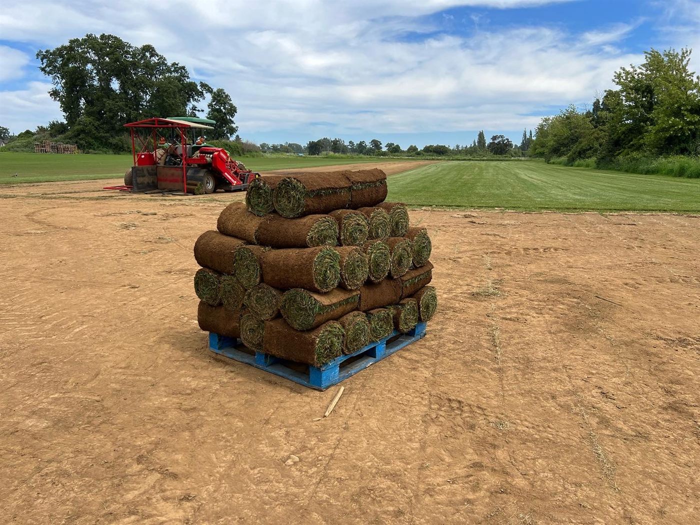 Pallets de césped en rollo listos para retiro